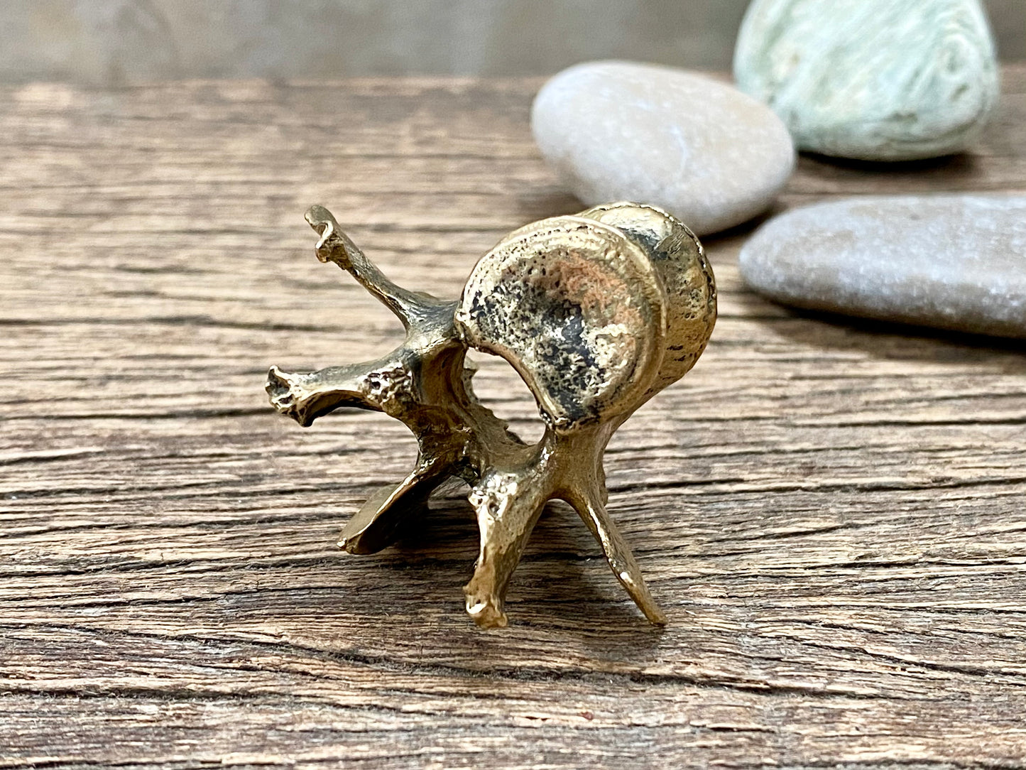 Brass Vertebra