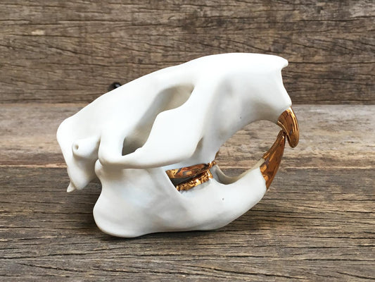 Porcelain Beaver Skull