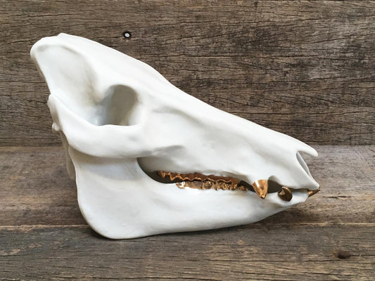 Porcelain Boar Skull