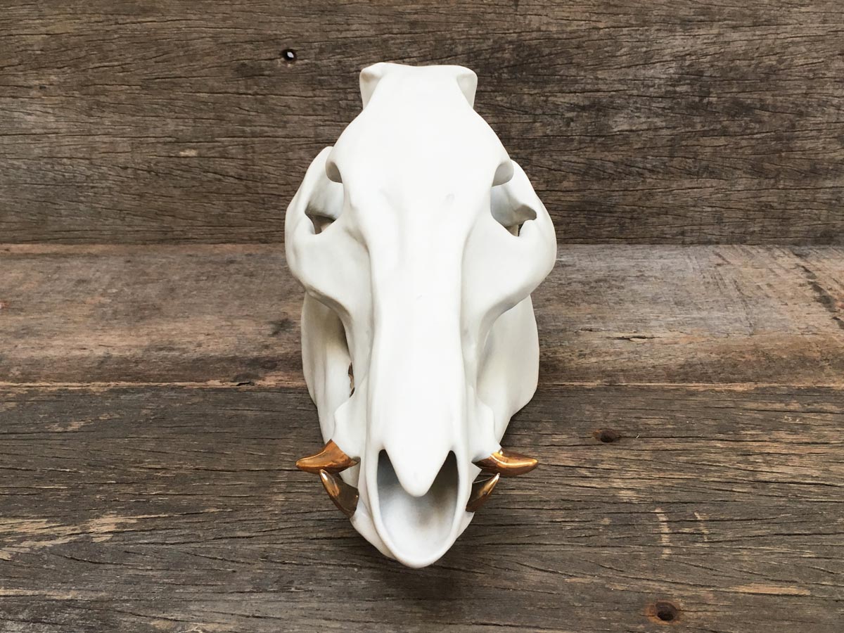 Porcelain Boar Skull
