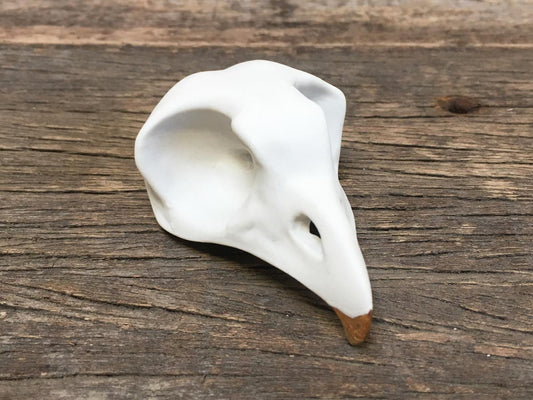 Porcelain Owl Skull