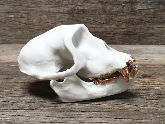 Porcelain Patas Monkey Skull
