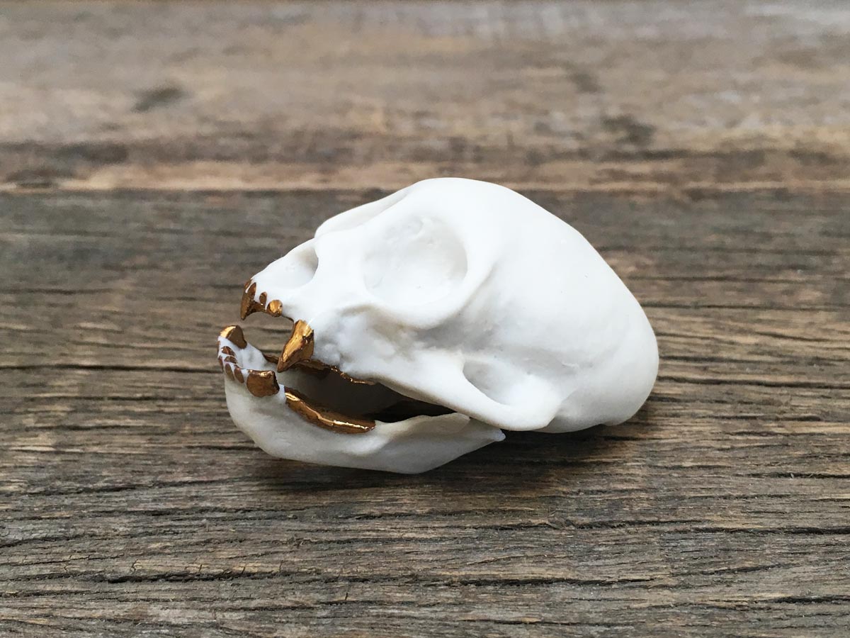 Porcelain Squirrel Monkey Skull