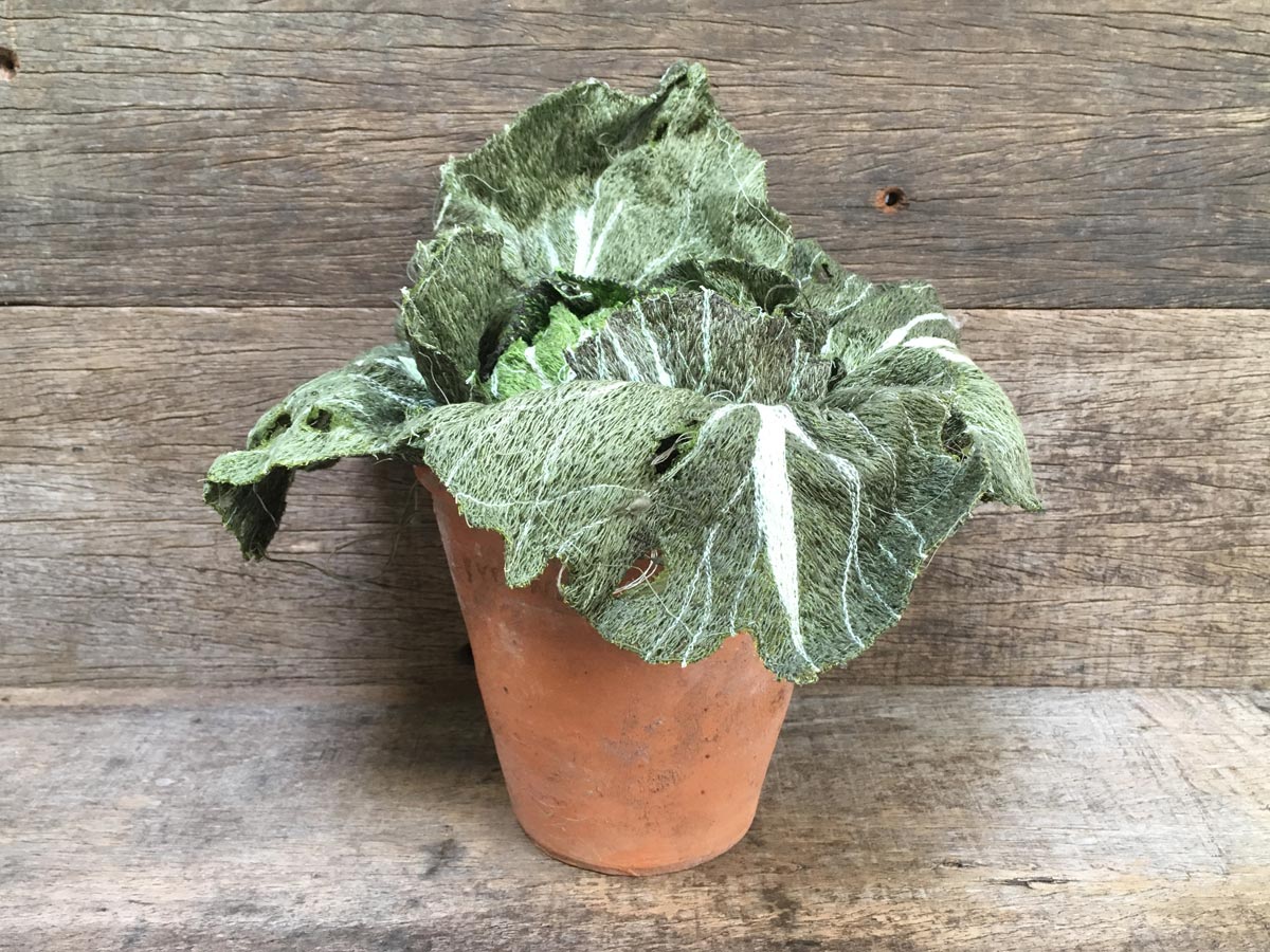 Textile Cabbage