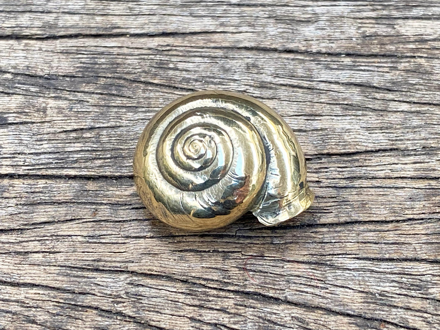 Brass Snail Shell
