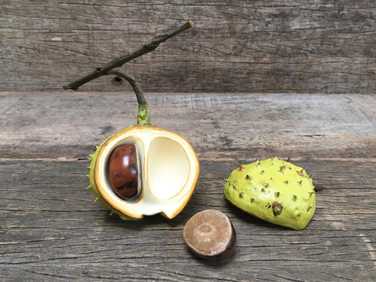 Ceramic Horse Chestnut