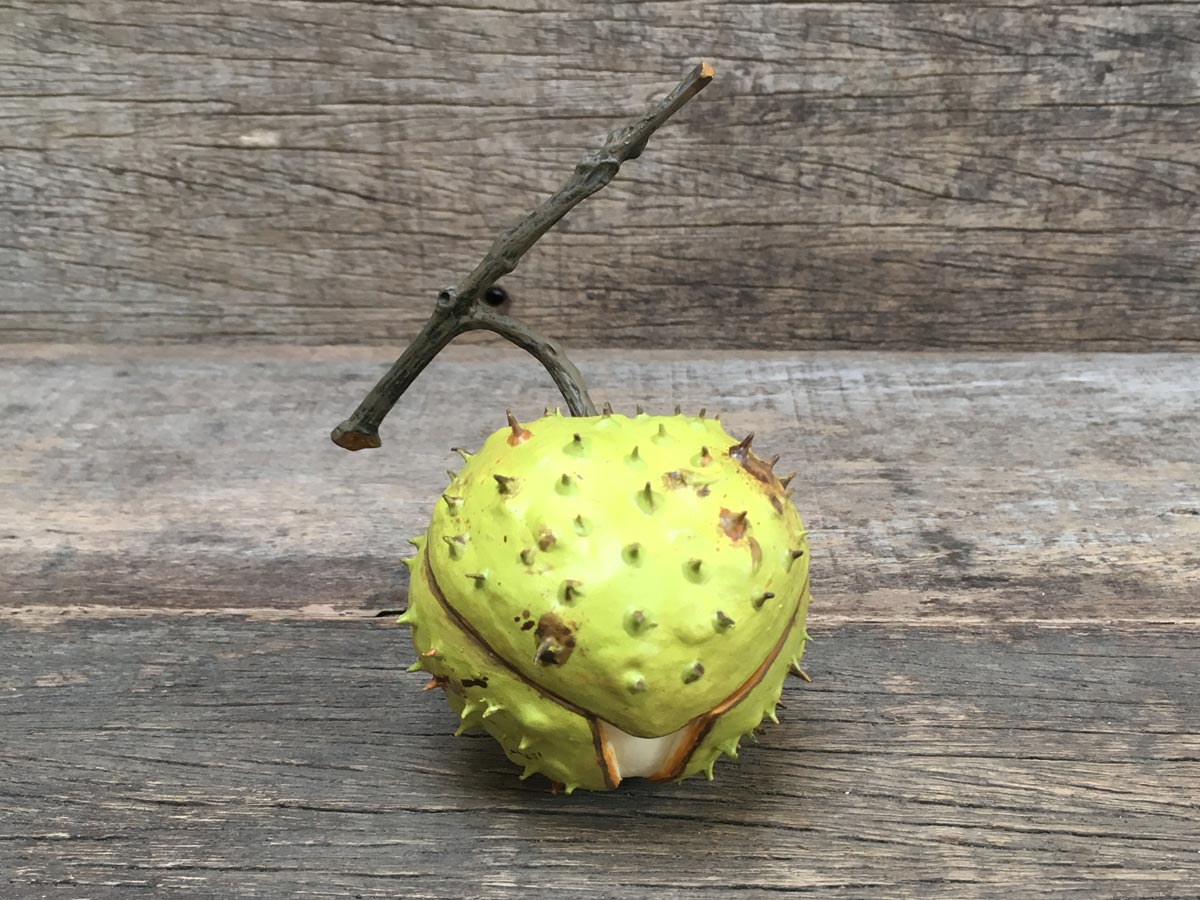 Ceramic Horse Chestnut