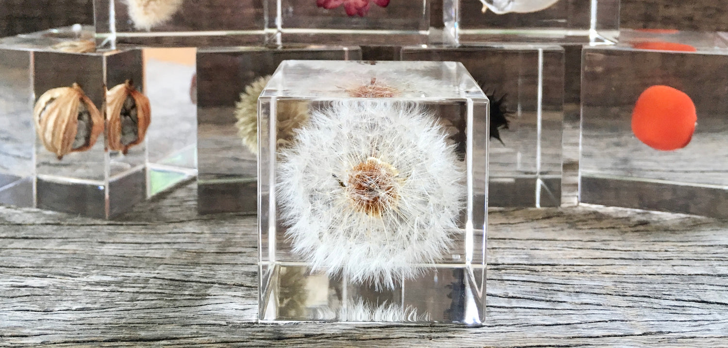 Specimen Cubes