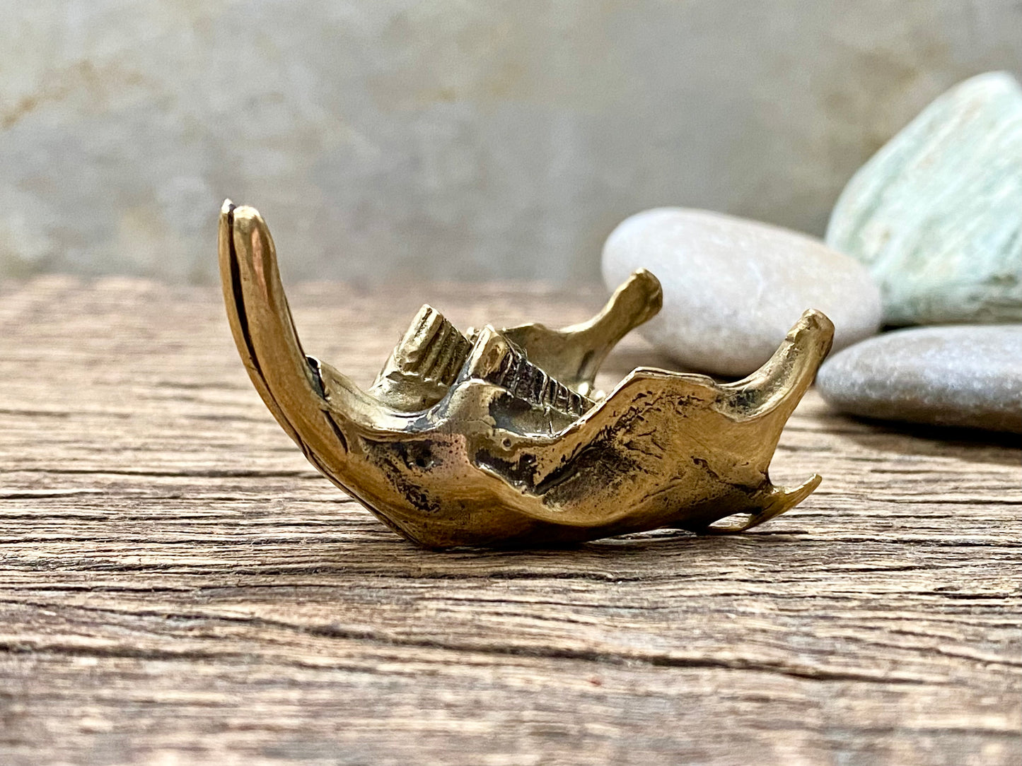 Brass Muskrat Jaw