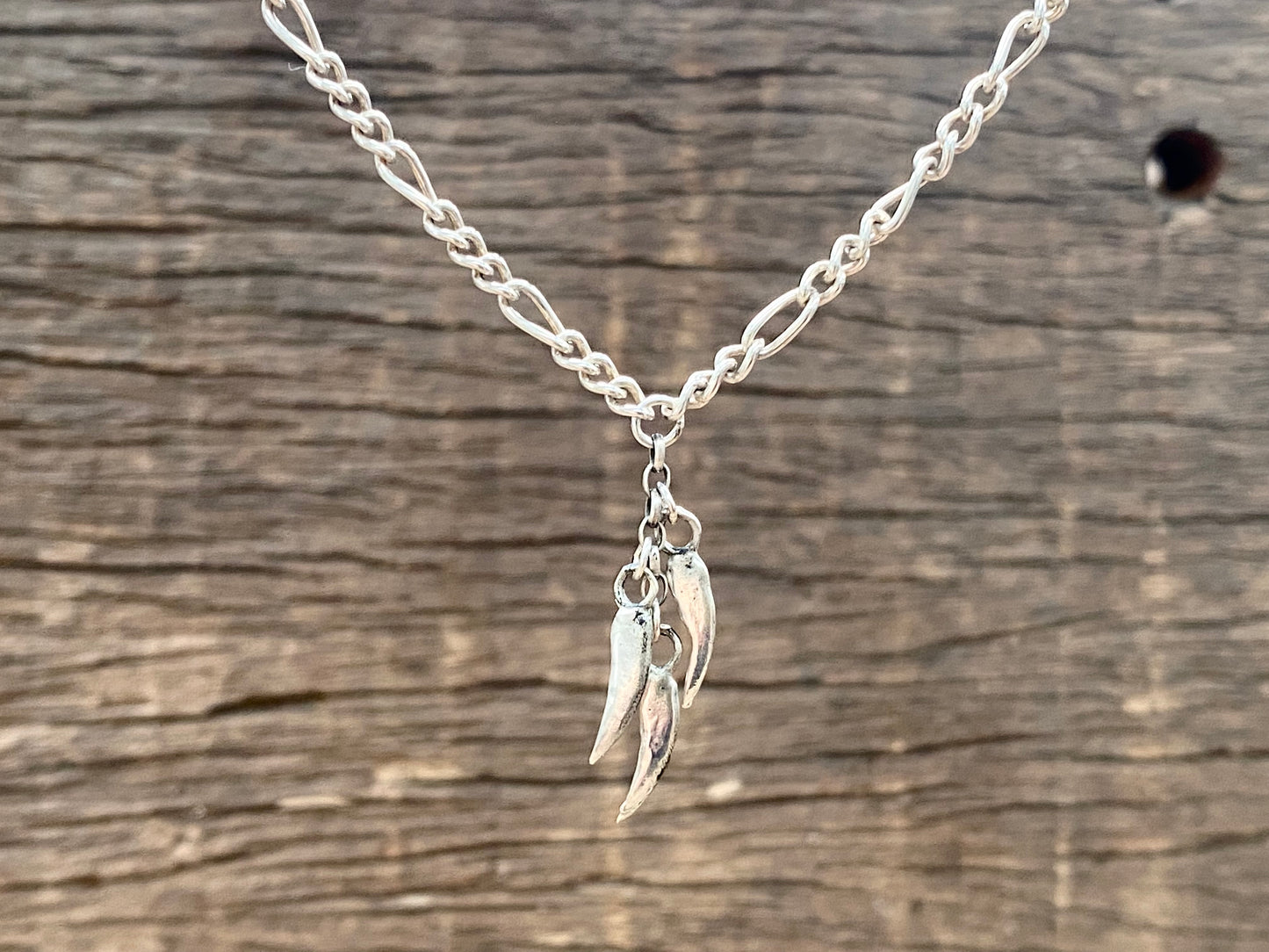 Silver Claw Necklace