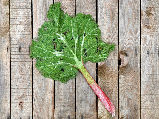 Textile Rhubarb