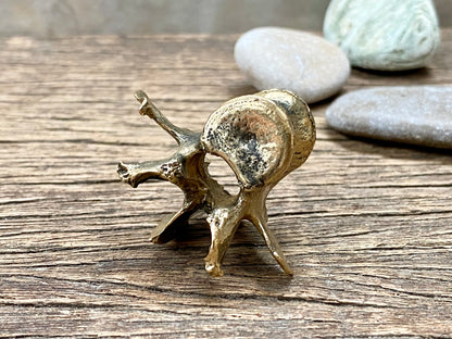 Brass Vertebra