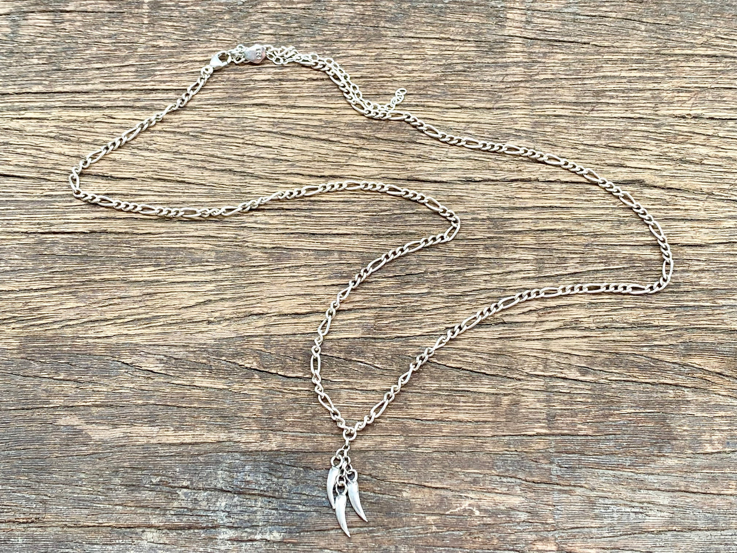 Silver Claw Necklace