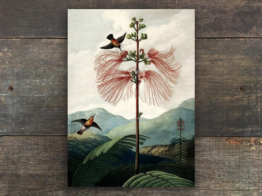 The Tree of Flowers