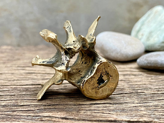 Brass Vertebra