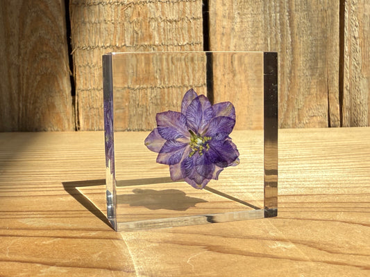 Specimen Tile: Larkspur