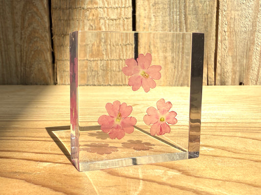 Specimen Tile: Verbena