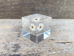 Load image into Gallery viewer, Specimen Cube: Chamomile sunray
