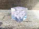 Load image into Gallery viewer, Specimen Cube: Sakura
