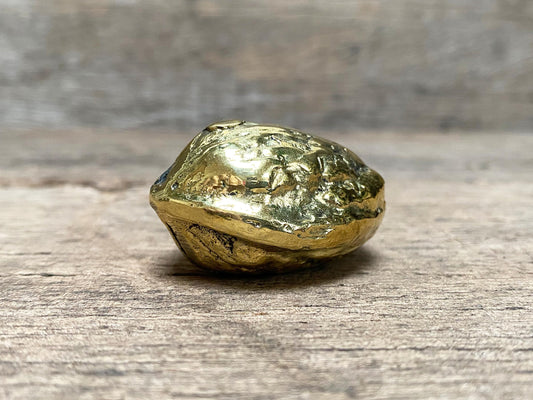 Brass Walnut Paperweight