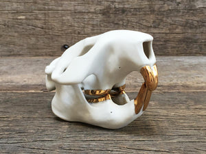 Porcelain Beaver Skull