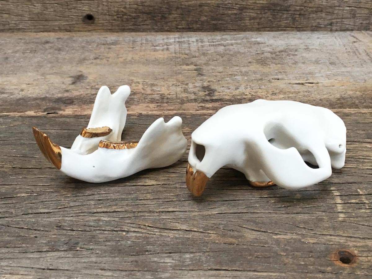 Porcelain Beaver Skull