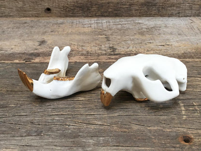 Porcelain Beaver Skull
