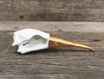 Load image into Gallery viewer, Porcelain Bird Skull
