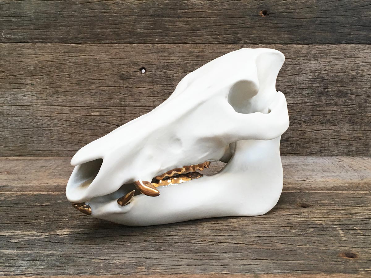 Porcelain Boar Skull