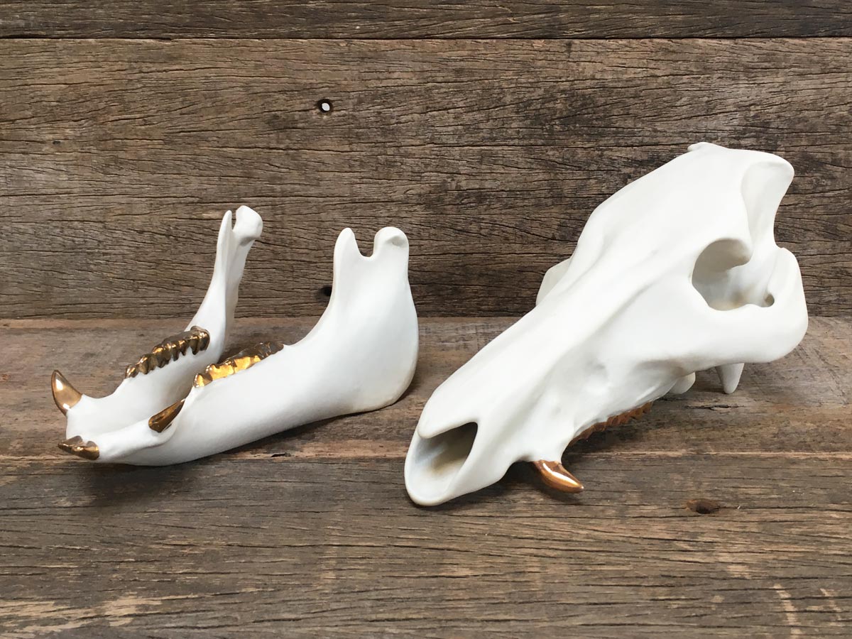 Porcelain Boar Skull