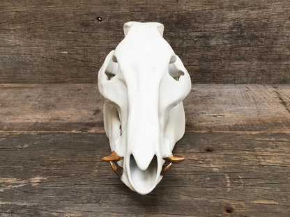 Porcelain Boar Skull