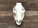 Load image into Gallery viewer, Porcelain Boar Skull
