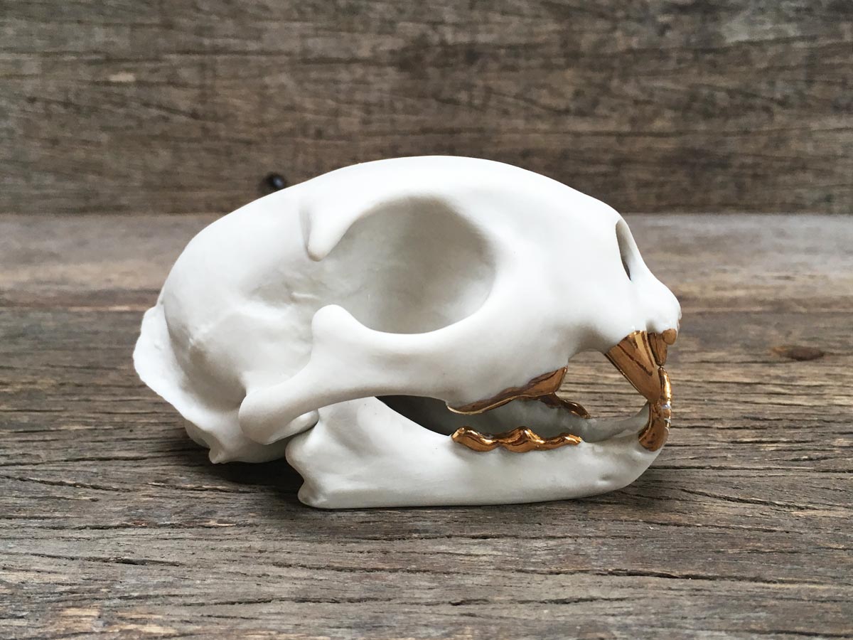 Porcelain Bobcat Skull
