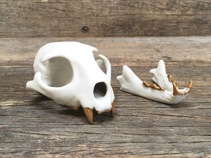 Porcelain Bobcat Skull