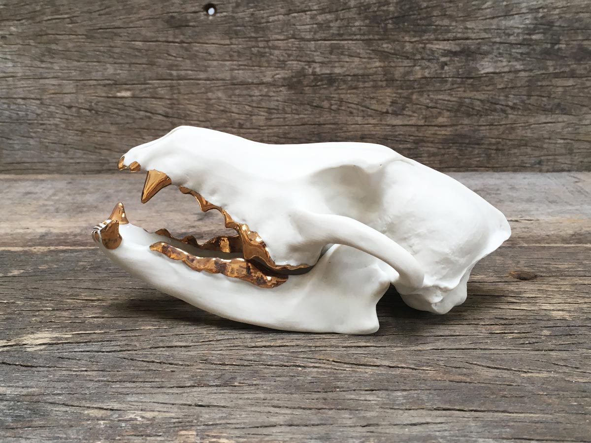 Porcelain Coyote Skull