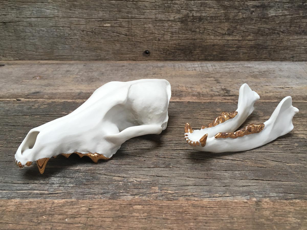 Porcelain Coyote Skull