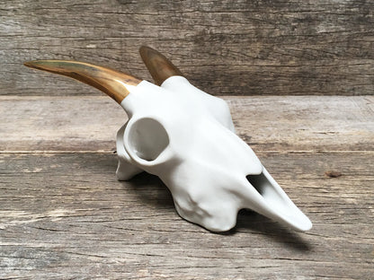 Porcelain Goat Skull