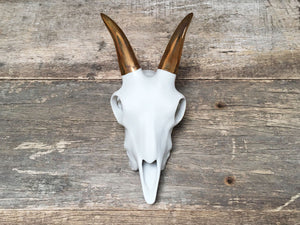 Porcelain Goat Skull