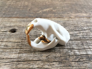 Porcelain Muskrat Skull