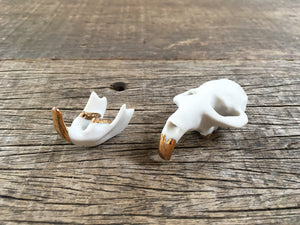 Porcelain Muskrat Skull