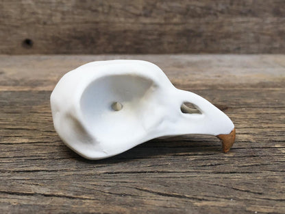 Porcelain Owl Skull