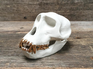 Porcelain Patas Monkey Skull
