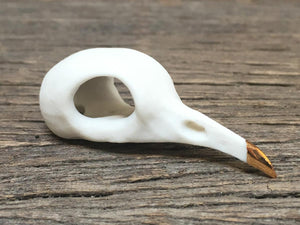 Porcelain Pigeon Skull