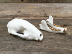 Load image into Gallery viewer, Porcelain Raccoon Skull

