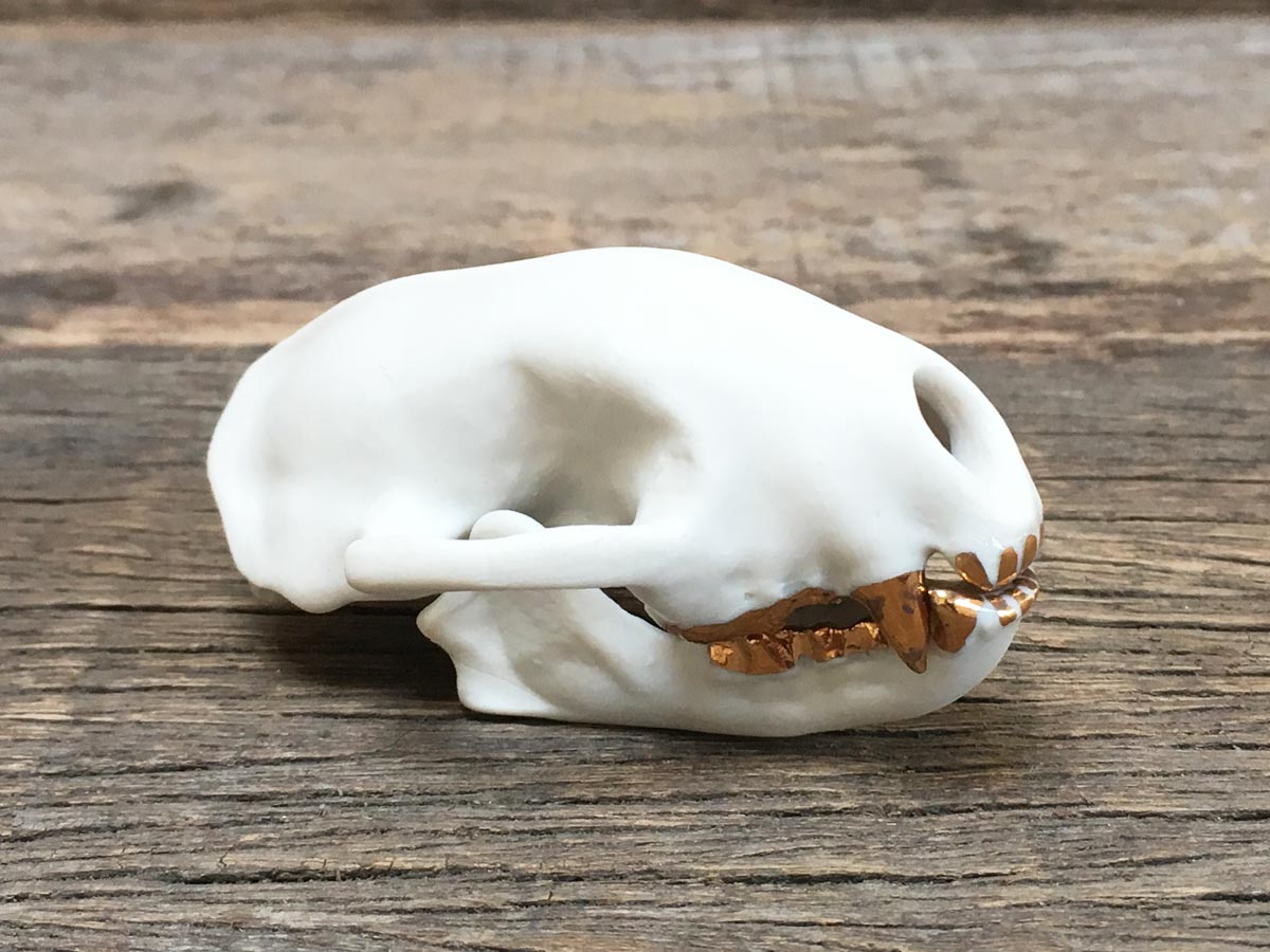 Porcelain Skunk Skull