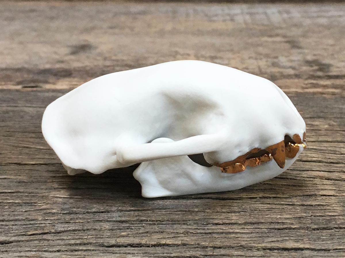 Porcelain Skunk Skull