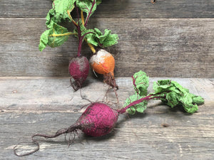 Textile Baby Beetroot