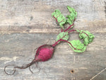 Load image into Gallery viewer, Textile Baby Beetroot
