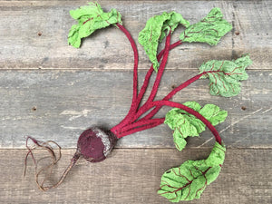 Textile Beetroot