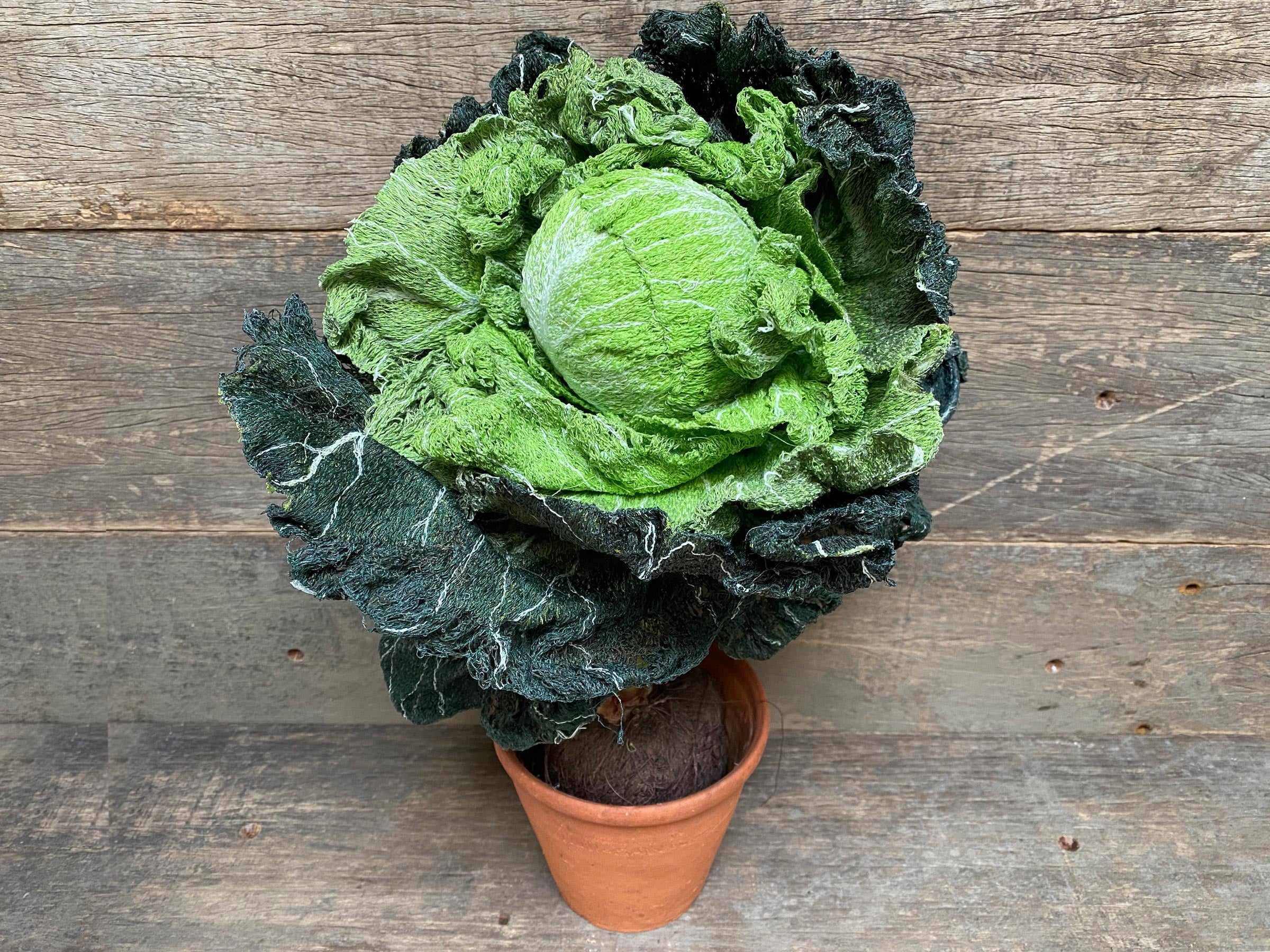 Textile Cabbage with Stem